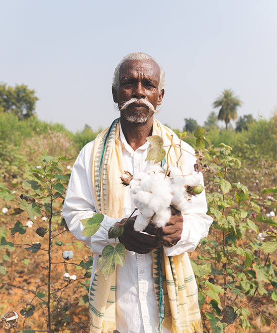 Fairtrade farmer holding cotton plant